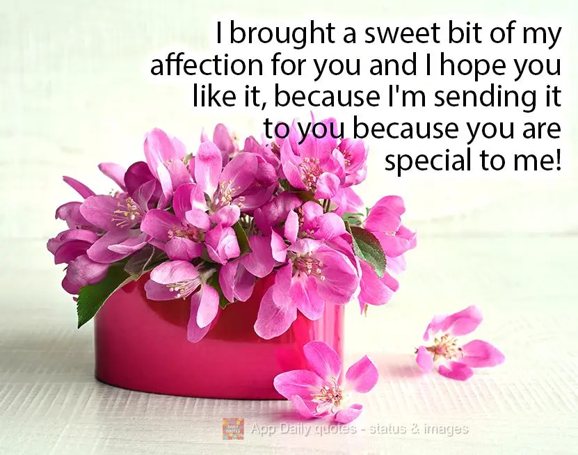 I brought a sweet bit of my affection for you and I hope you like it, because I'm sending it to you because you are special to me!