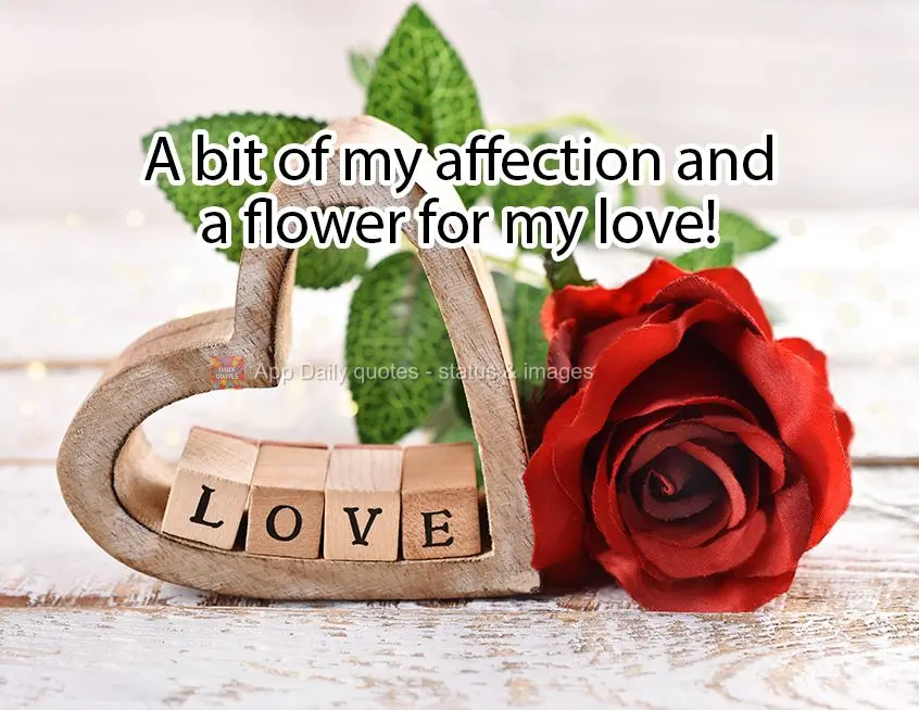 A bit of my affection and a flower for my love!