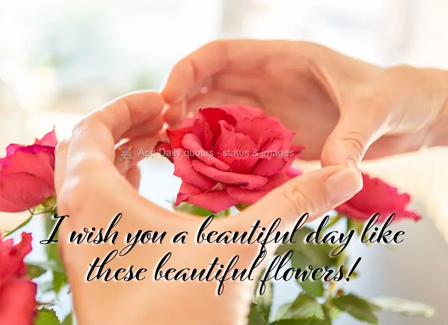 Desejo um lindo dia assim como essas lindas flores!