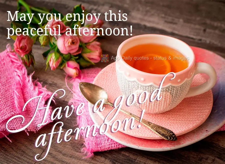 Que você possa desfrutar de uma tarde de paz! Feliz tarde!