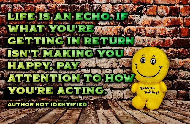 Life is an echo. If what you're getting in return isn't making you happy, pay attention to how you're what you're putting out. Author not identified