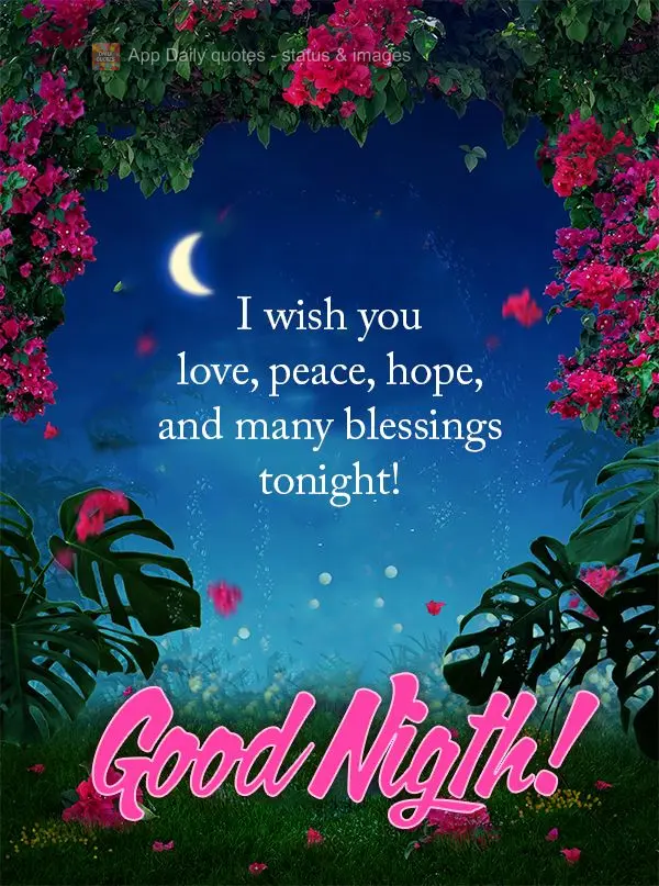 Te desejo para esta noite amor, paz, esperança e muitas bênçãos! Boa noite!