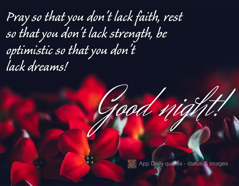 Ore para que não lhe falte fé, descanse para que não lhe falte forças, se mantenha otimista para que não lhe falte sonhos! Feliz noite! 