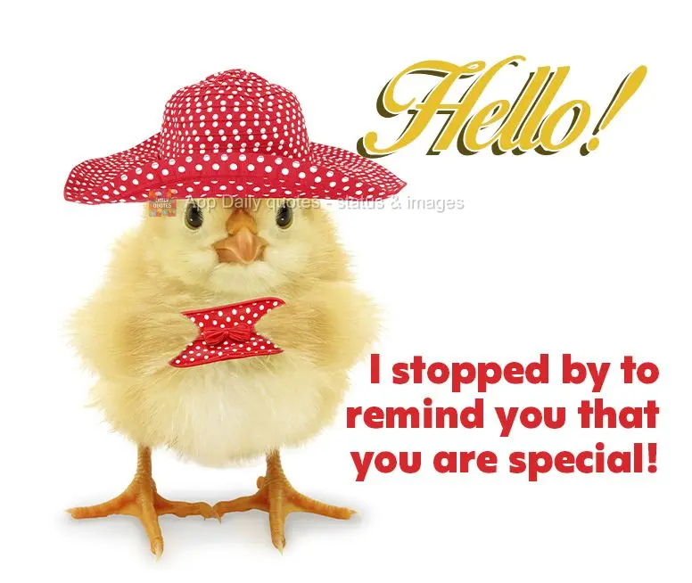 Hello! I stopped by to remind you that you are special!