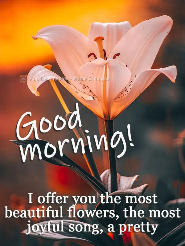 Ofereço-te a flor mais bela, o canto mais alegre, um lindo dia e bênçãos infinitas! Bom dia!