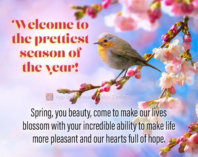 Primavera sua linda! Venha florir nossas vidas com sua incrível habilidade de deixar a vida mais prazerosa e nosso coração cheio de esperança. Seja B...