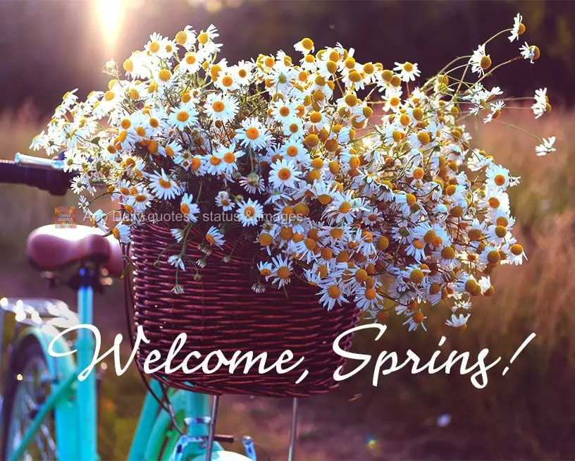 Seja Bem-Vinda Primavera!