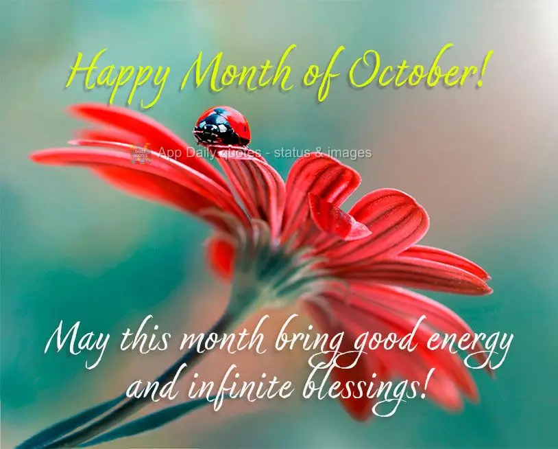 Que esse mês venha com boas energias e bênçãos infinitas! Feliz Mês de Outubro!