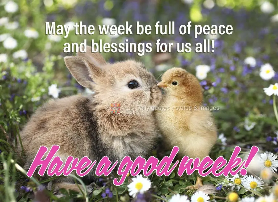 May the week be full of peace and blessings for us all! Have a good week!