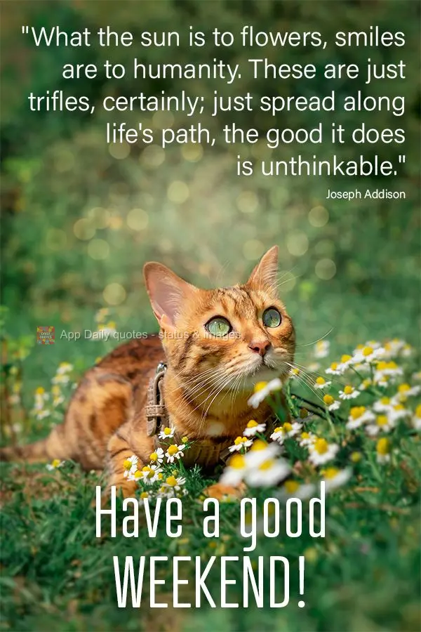 "What the sun is to flowers, smiles are to humanity. These are just trifles, certainly; just spread along life's path, the good it does is unthinkable." ...