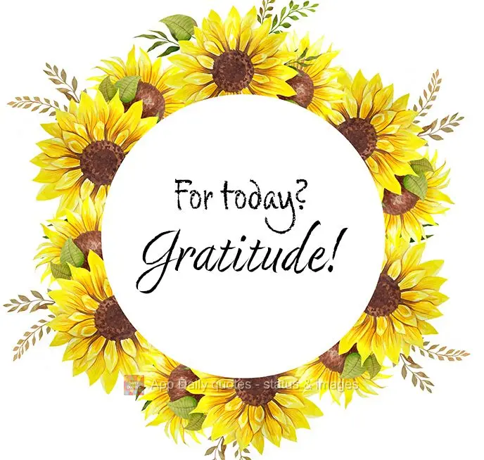 For today? Gratitude!