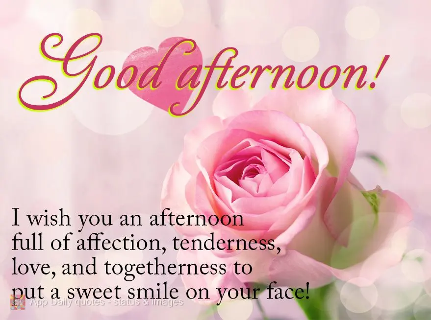 I wish you an afternoon full of affection, tenderness, love, and togetherness that puts a sweet smile on your face! Good afternoon!