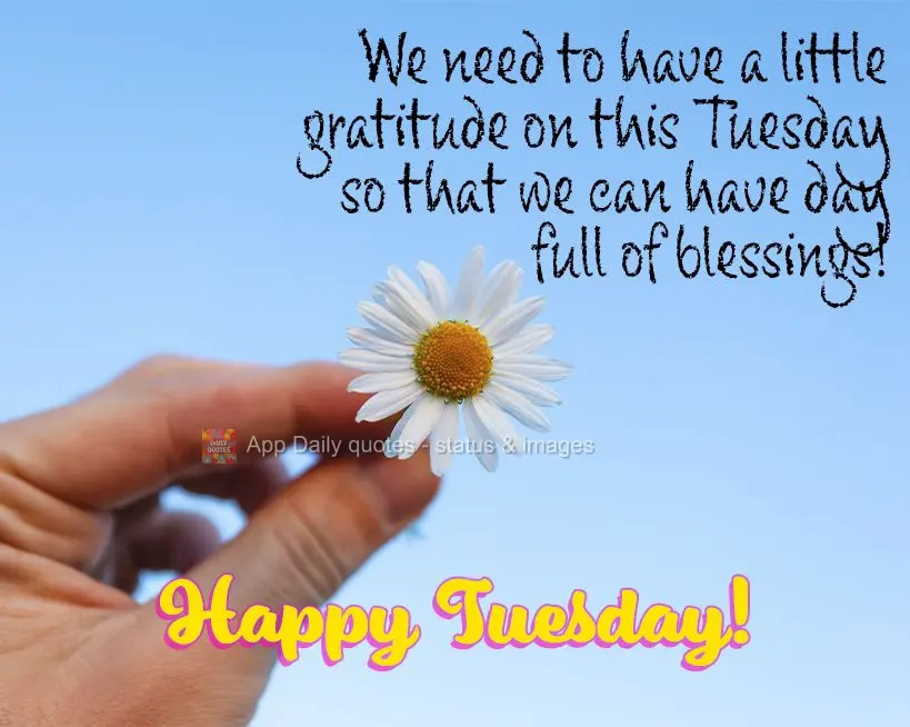 We need to have a little gratitude this Tuesday so that we can have day full of blessings! Happy Tuesday!