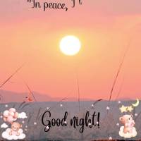 "Em paz me deito e logo adormeço, pois só tu, Senhor, me fazes viver em segurança."  Boa noite Salmos 4,8