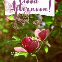 Que seja tranquila a sua tarde, e que venham muitas bênçãos para alegrar o seu dia! Feliz tarde! 