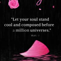 “Deixe sua alma ficar calma e composta diante de um milhão de universos.” Boa noite!  Walt Whitman