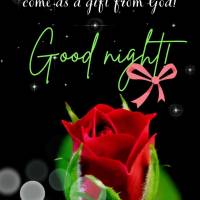 Que as bênçãos de hoje venham como um presente de Deus! Boa noite!