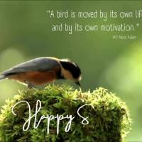 “O pássaro é movido por sua própria vida e por sua motivação.” Feliz Domingo! APJ Abdul Kalam