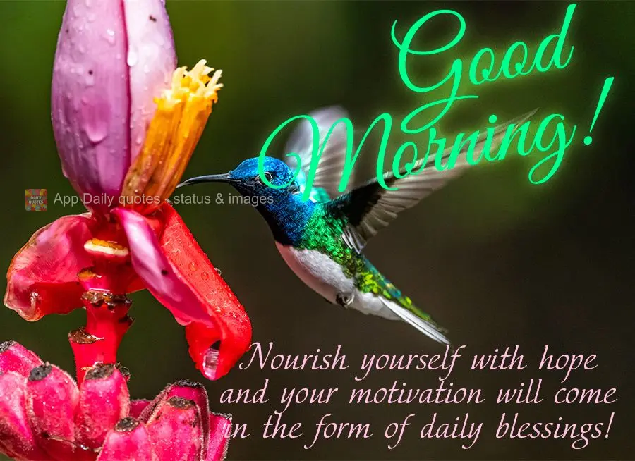  Se alimente de esperança e sua motivação virá em forma de bênçãos diárias! Bom dia!