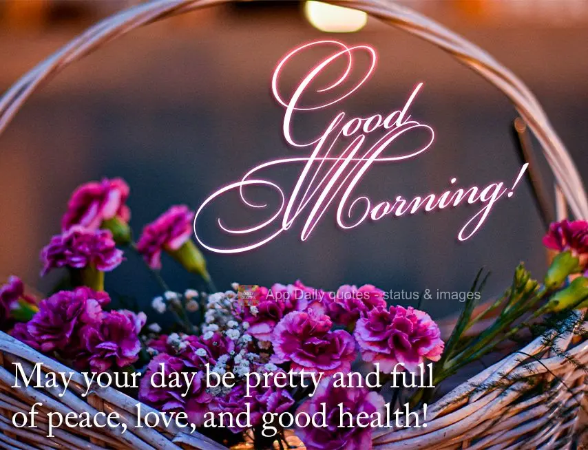 Que seja lindo o seu dia e cheio de paz, amor e saúde! Bom dia!