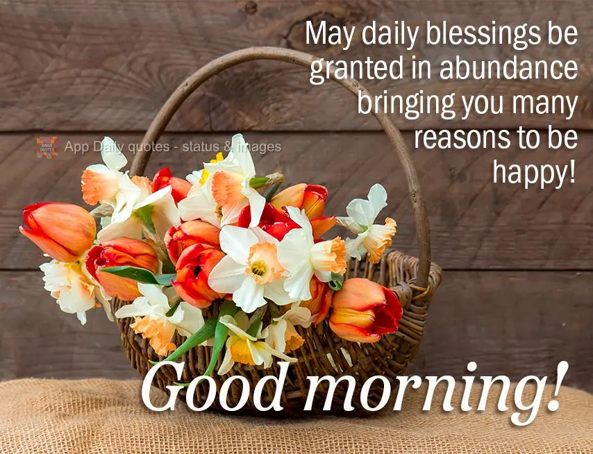 Que as bênçãos diárias venham em abundância para lhe trazer muitos motivos para ser feliz! Bom dia!