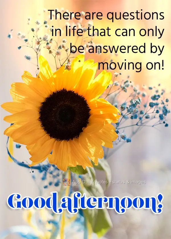 Há questões na vida que a gente resolve seguindo em frente! Boa tarde!