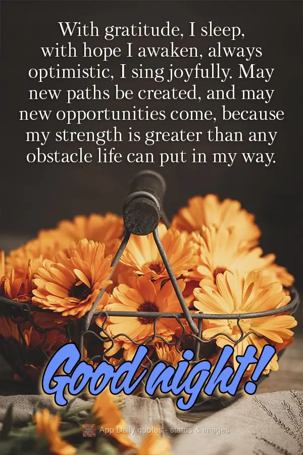 Com gratidão me deito, com esperança me levanto, sempre otimista, alegremente eu canto. Que se criem novos caminhos e que venham novas oportunidades, p...