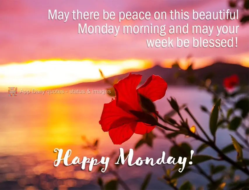 May there be peace on this beautiful Monday morning, and may your week be blessed! Happy Monday!