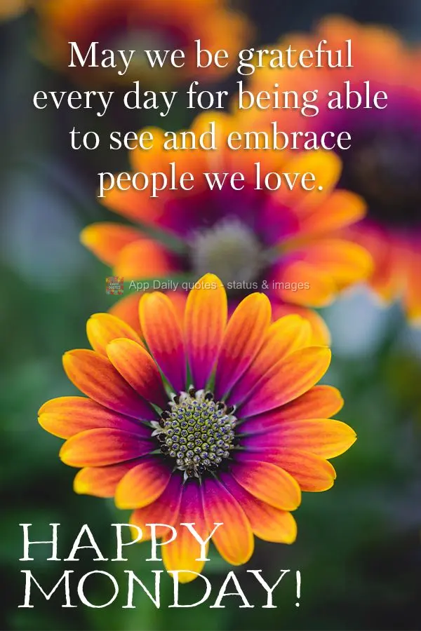 Que tenhamos gratidão por todos os dias podermos ver e abraçar as pessoas que amamos. Feliz Segunda-feira!