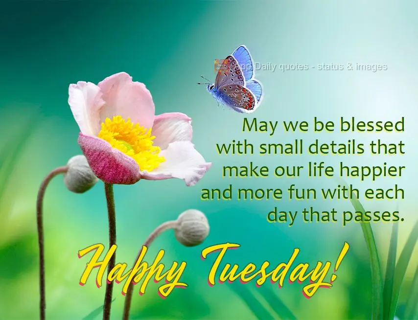 May we be blessed with small details that make our life happier and more fun with each day that passes. Happy Tuesday!
