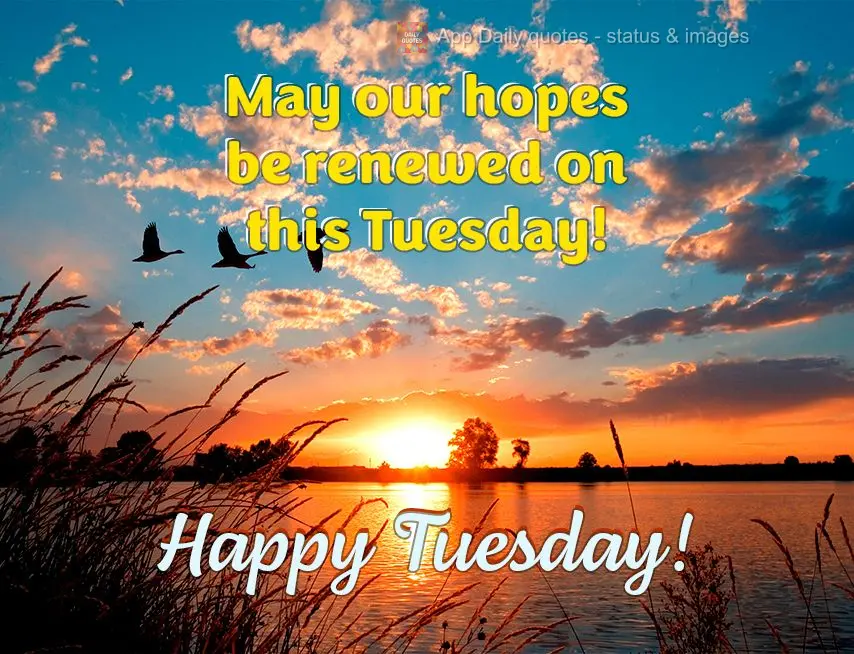 Que nesta Terça-feira nossas esperanças sejam renovadas!  Feliz Terça-feira!