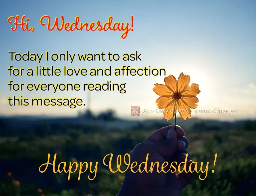 Olá Quarta-feira! Hoje eu só quero pedir um pouco de amor e carinho para cada um que esteja lendo esta mensagem. Feliz Quarta-feira!