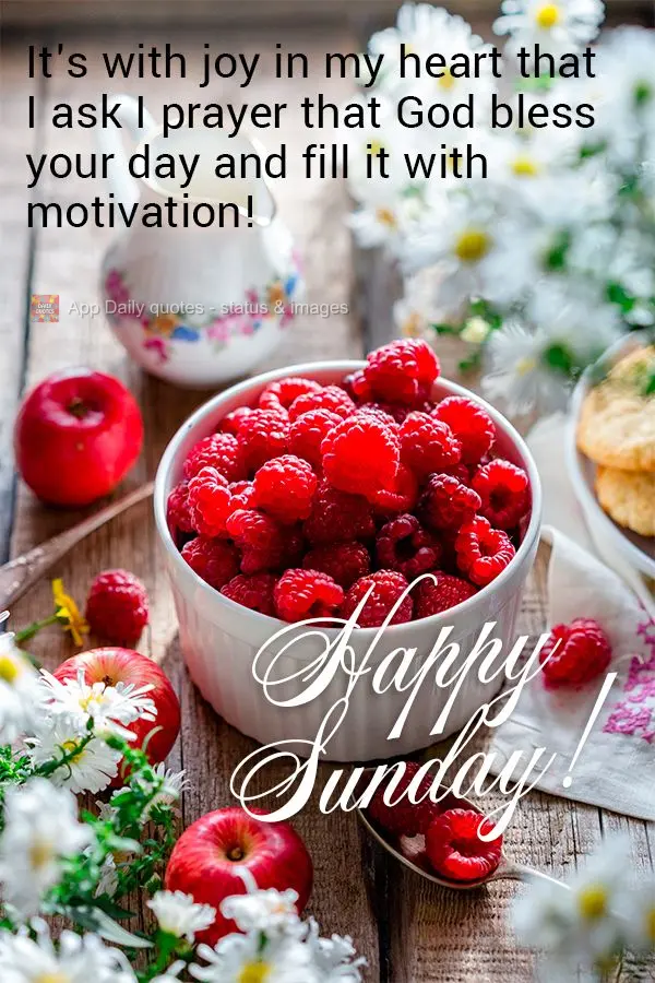 It's with joy in my heart that I ask I prayer that God bless your day and fill it with motivation! Happy Sunday!