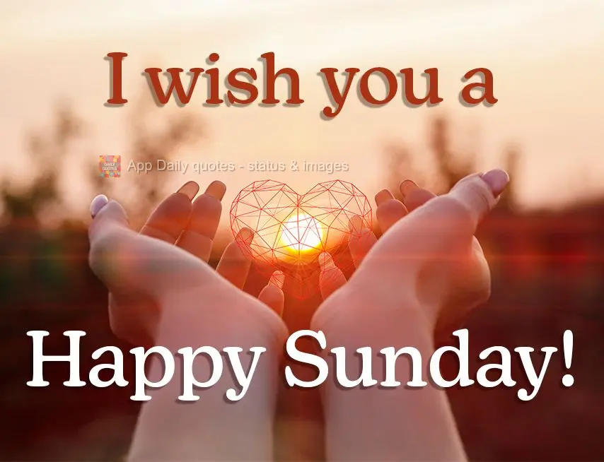 Te desejo um Feliz Domingo!