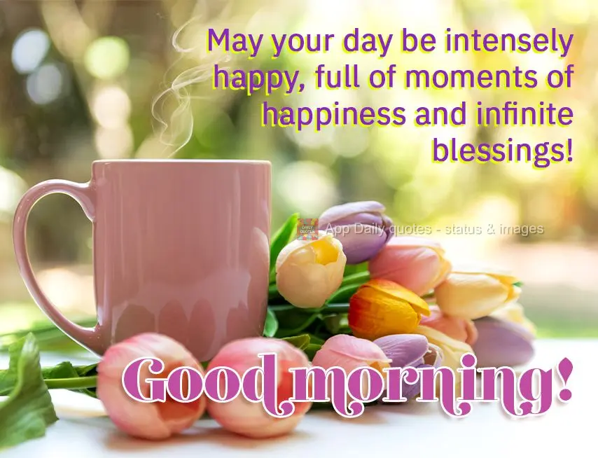 Que teu dia seja de intensa alegria, momentos de felicidade e bênçãos infinitas! Bom dia! 
