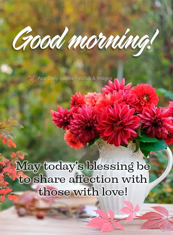 May today's blessing be to give affection to those you love! Good morning!