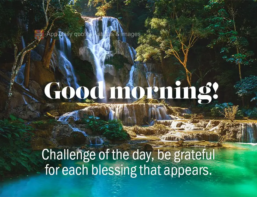 Challenge of the day, be grateful for each blessing that appears. Good morning!