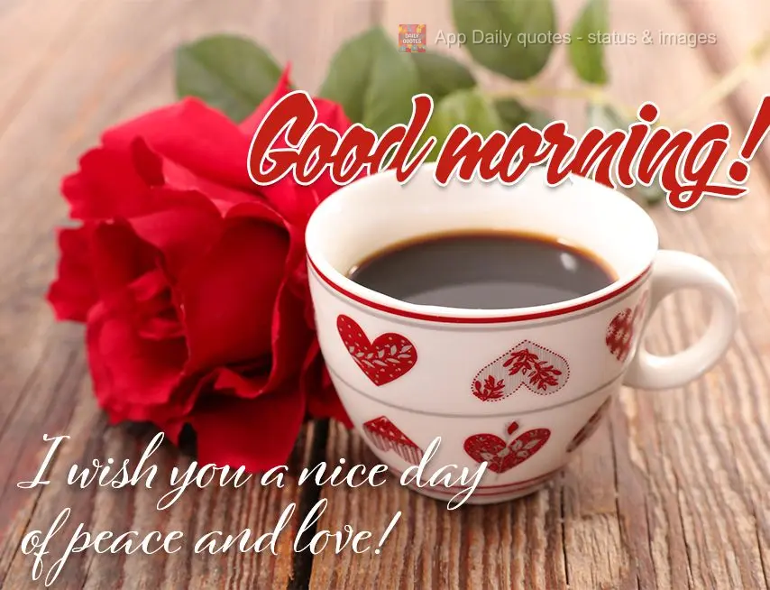 I wish you a nice day of peace and love! Good morning!