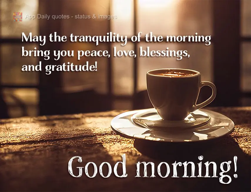 Que a tranquilidade desta manhã lhe traga paz, amor, bênçãos e muita gratidão!  Bom dia!
