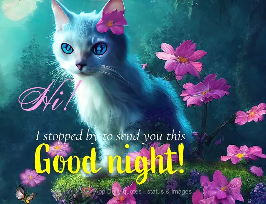 Hi! I stopped by to send you a Good night!