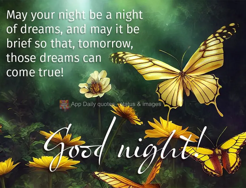 May your night be a night of dreams, and may it be brief so that, tomorrow, those dreams can come true! Good night!