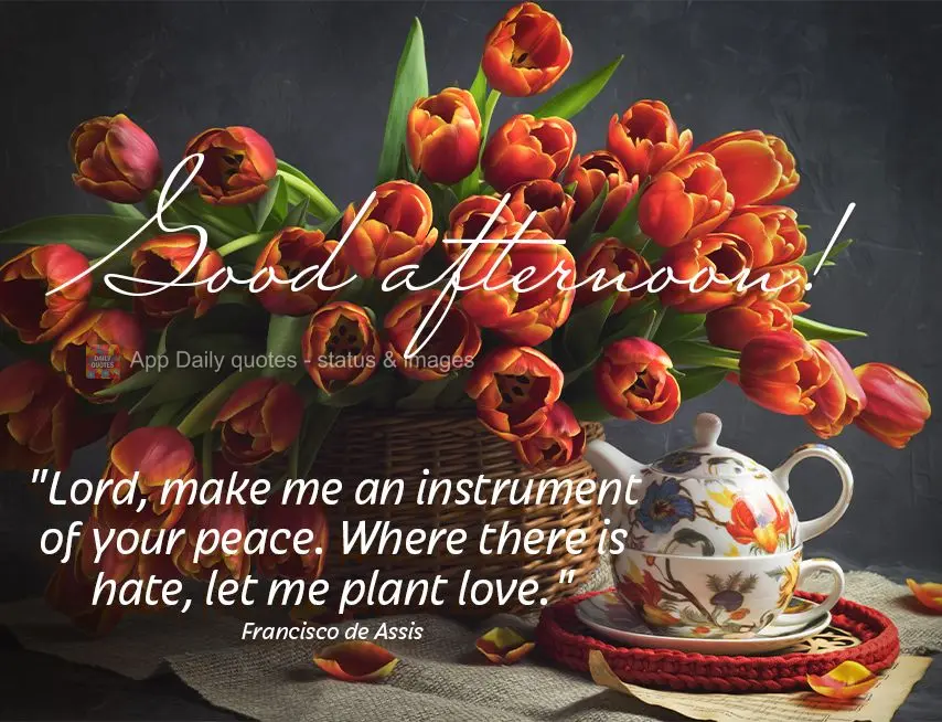 “Senhor, faz de mim um instrumento da tua paz. Onde houver ódio, deixe-me semear amor." Boa tarde!  Francisco de Assis