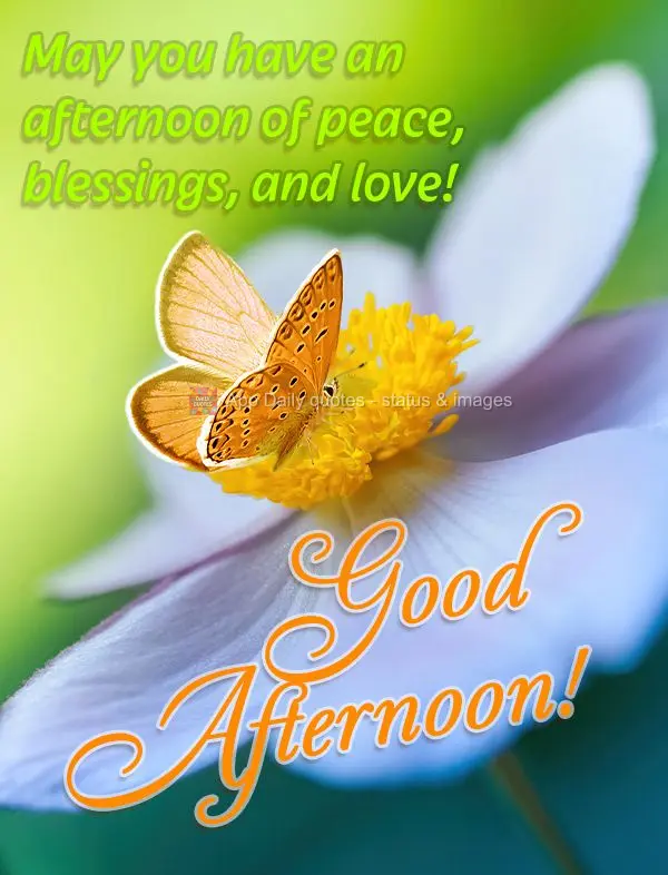May you have an afternoon of peace, blessings, and love! Good afternoon!