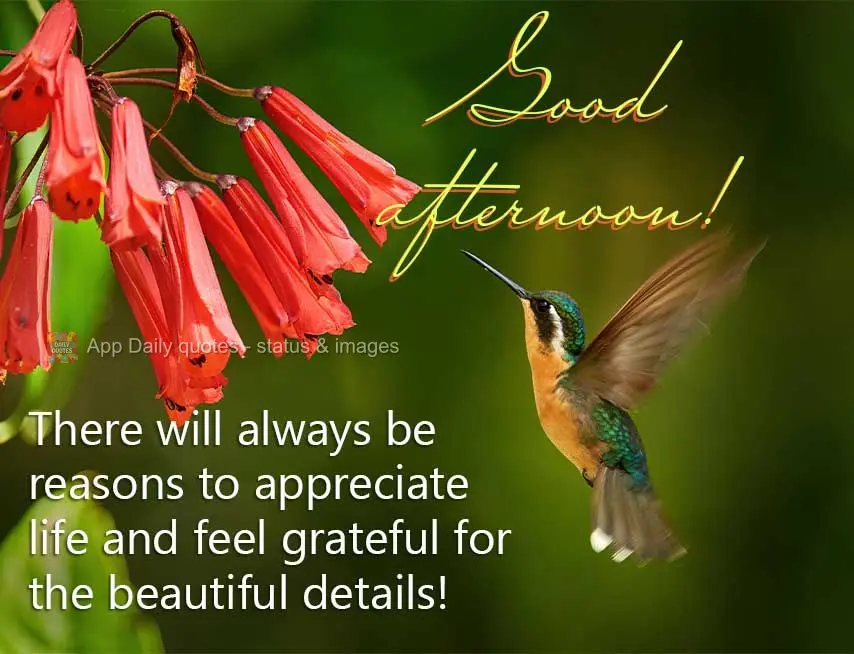 Sempre haverá motivos para apreciar a vida e sentir gratidão pelos lindos detalhes! Boa tarde!