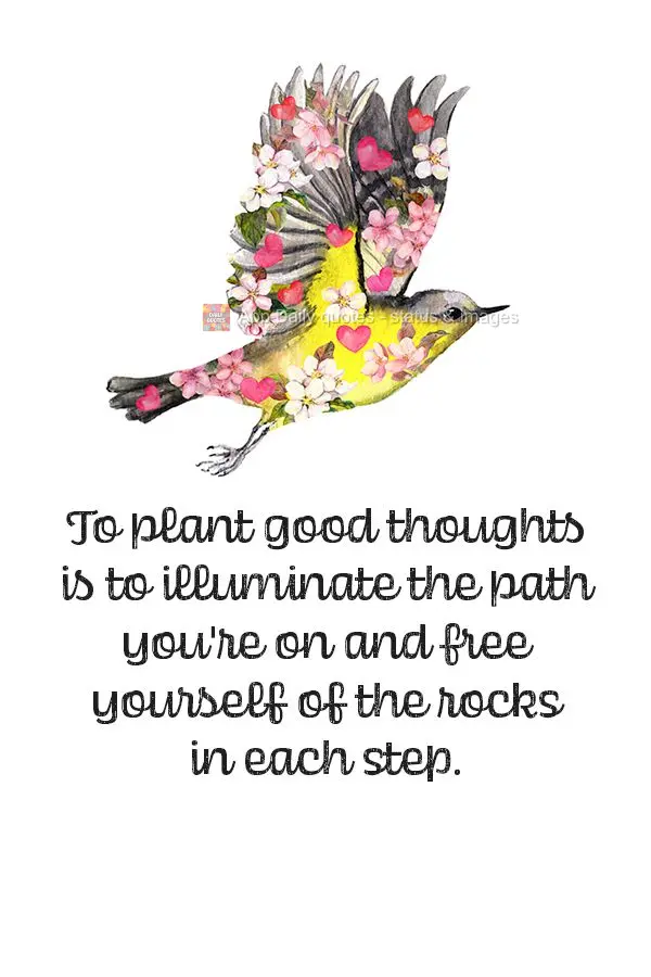 Sowing good thoughts means illuminating the path you're on and getting rid of the rocks in each step.