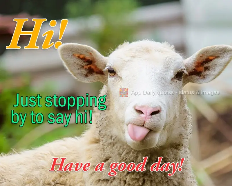 Hello! Just stopping by to say hi! Have a good day!