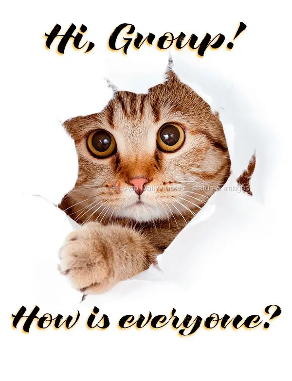 Hi, Group! How is everyone?