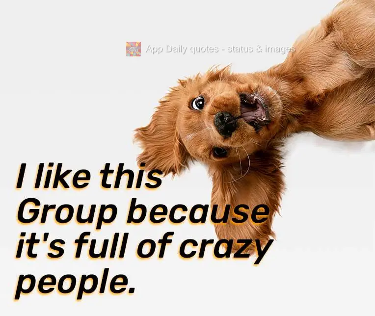 Gosto desse Grupo porque só tem gente doida.