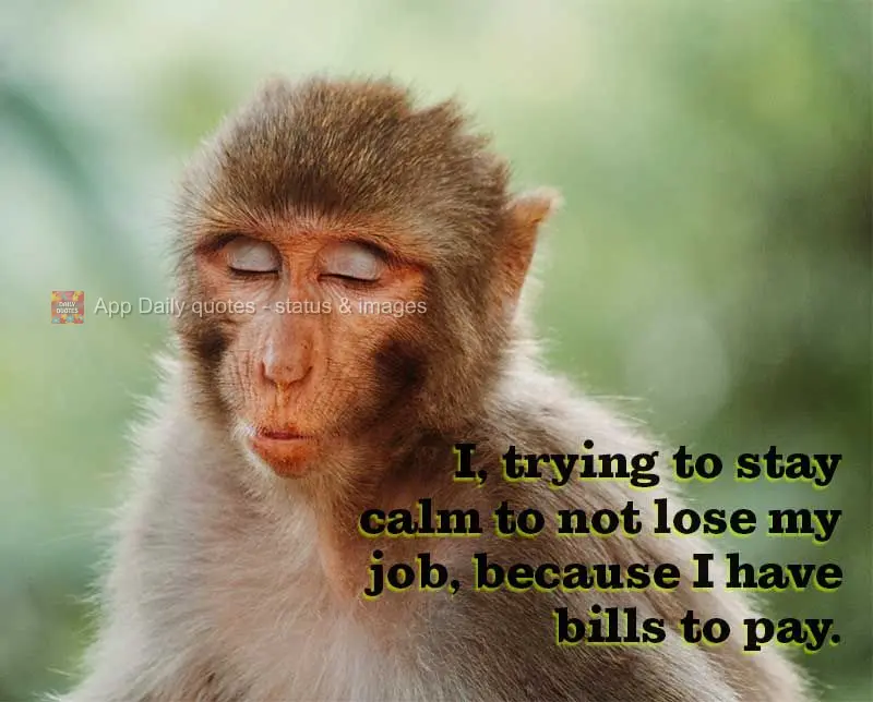 Me, trying to stay calm and not lose my job, because I have bills to pay.