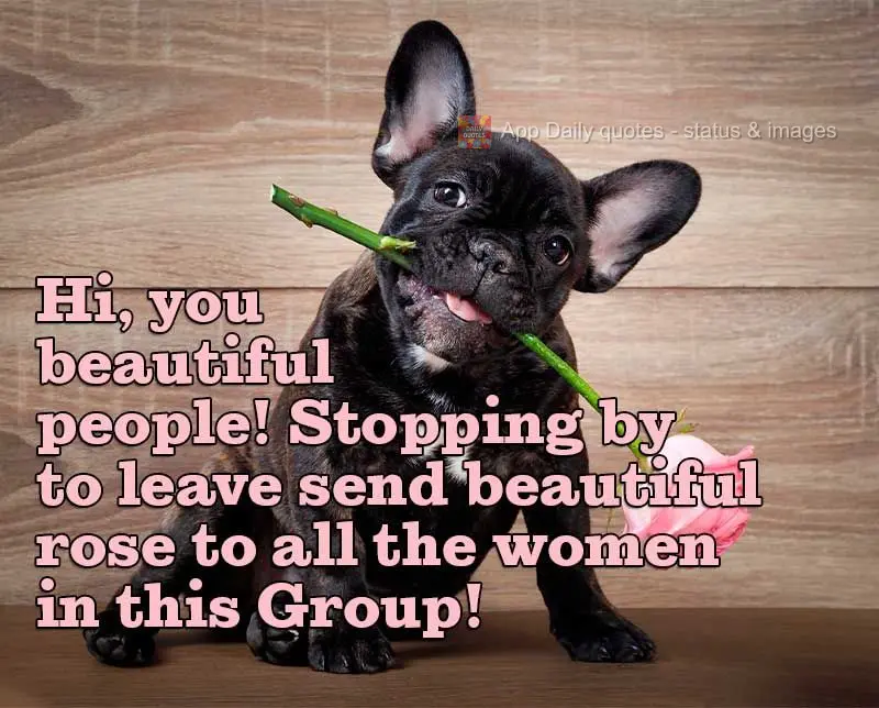 Oi, suas lindas! Passando aqui pra deixar essa linda rosa para todas as mulheres desse Grupo!